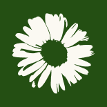 Dr. VERDE